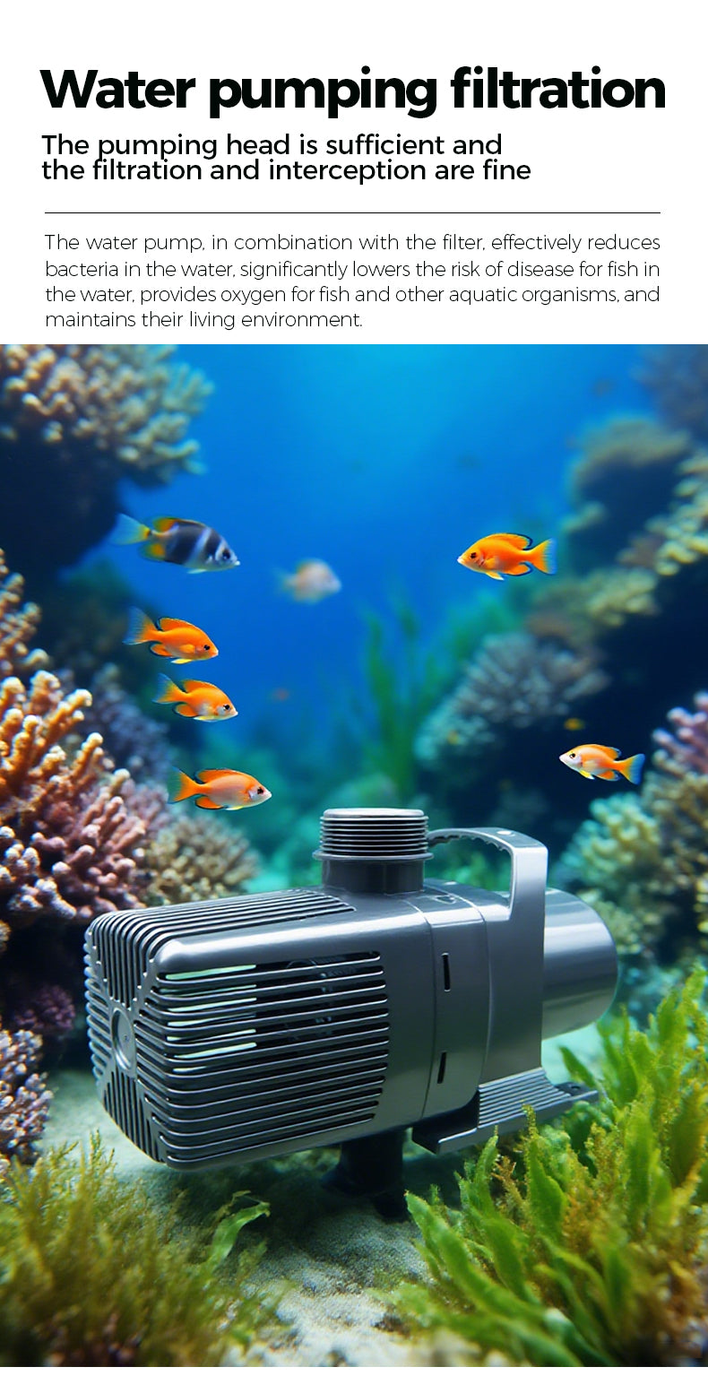 Aquarium with water pump and fish, highlighting water pumping filtration system.
