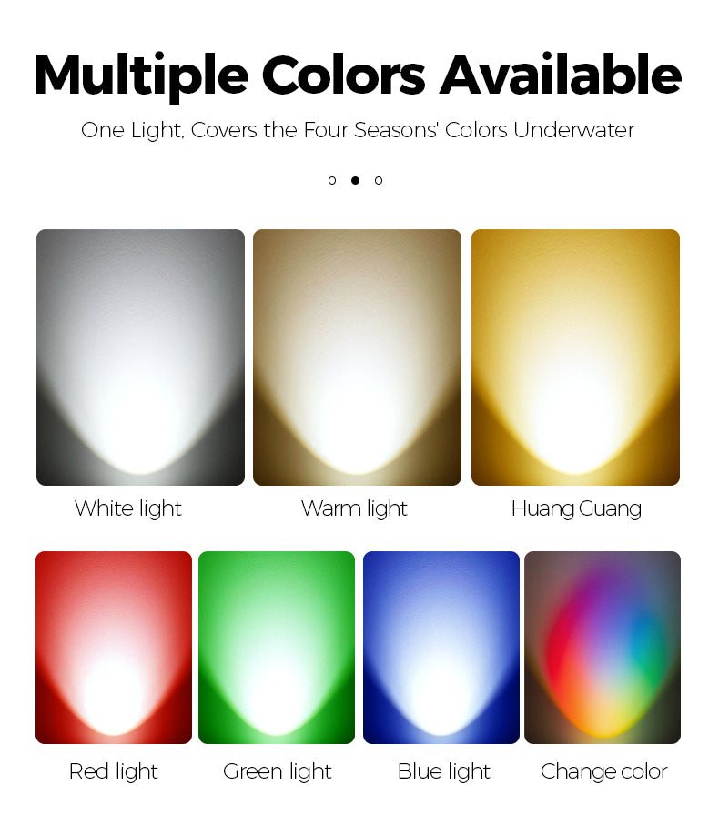 Color options for an underwater light system with labels for white, warm, Huang Guang, red, green, blue, and change color.